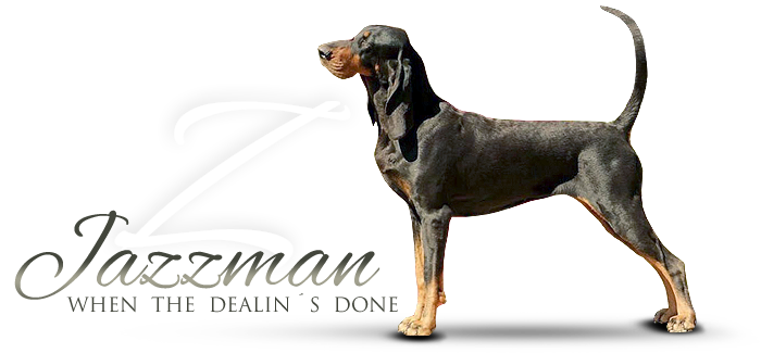 Black and tan coonhound JCH.  JAZZMAN  WHEN  THE  DEALIN´S  DONE